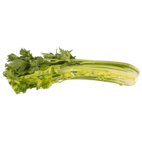 Celery Half (ea)
