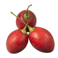 Red Tamarillos (kg)