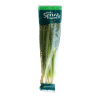 Fresh Spring Onions (ea)