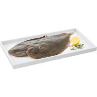 NZ Sole Fillets (kg)