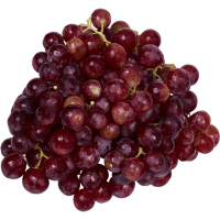 Red Grapes Imported (kg)