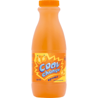 Orange Fruit Drink (500ml)