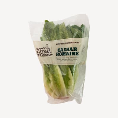 Large Cos Lettuce