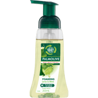 Foaming Antibacterial Lime Hand Wash Pump (250ml)