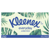Everday Silk Touch Facial Tissues (250pk)