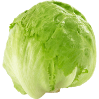 Bagged Iceberg Lettuce (ea)