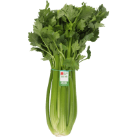 Celery (ea)