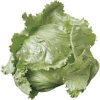 Fresh Cut Lettuce (ea)