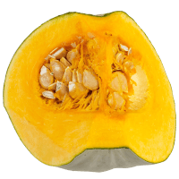 Crown Cut Pumpkin (1pk)
