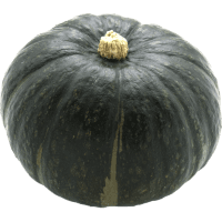 Squash Pumpkin (ea)