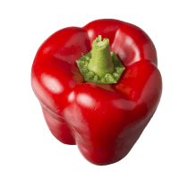 Red Capsicum. (ea)