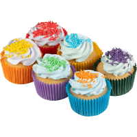 Novelty Cup Cakes (6pk)