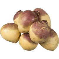 NZ Swede (ea)