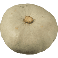Whole Crown Pumpkin (1ea)