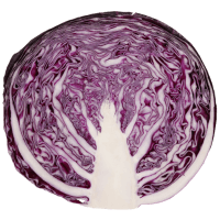 Red Half Cabbage (ea)