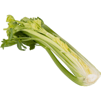Celery Half (1pk)