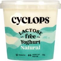 Natural Lactose Free Yoghurt (750g)