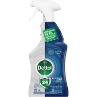 Protect 24 Ocean Fresh Multipurpose Cleaner Antibacterial Spray (500ml)