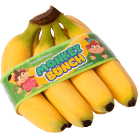 Snacking Bananas (1pk)