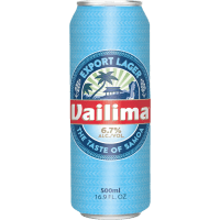 Export Lager (500ml)