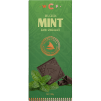 Mint Dark Chocolate Block (100g)