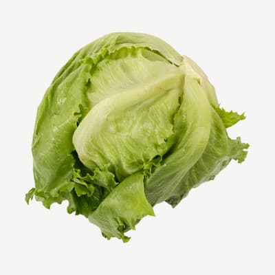 Iceberg Lettuce